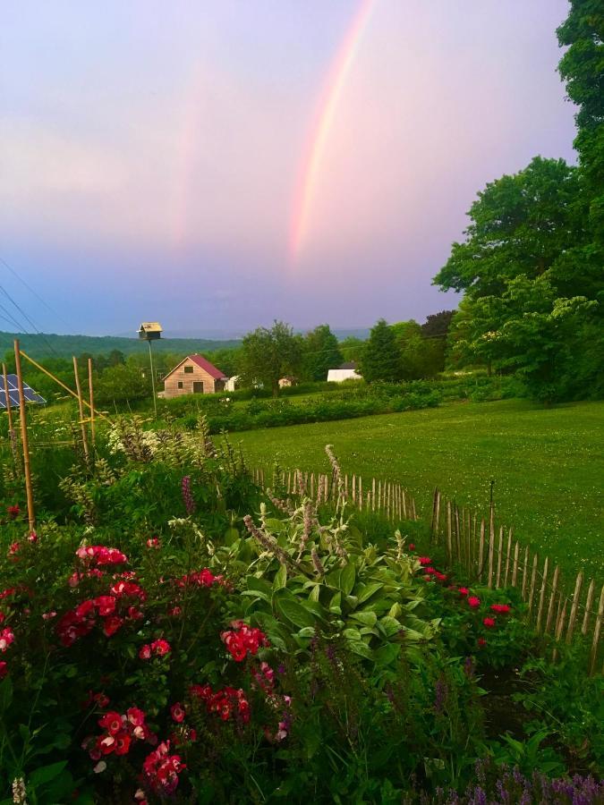 Bed and breakfast Enfield Manor And Vacation Newfield