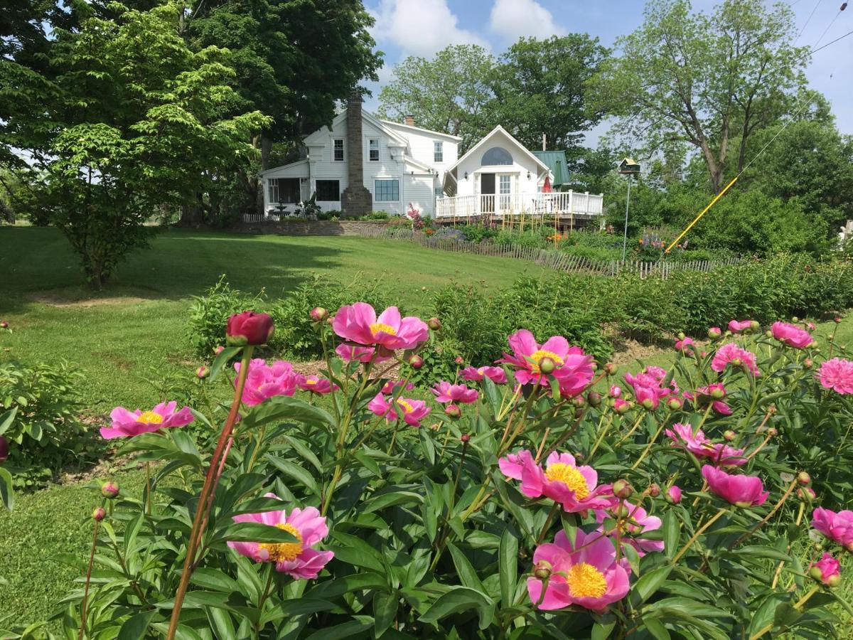 Enfield Manor And Vacation Bed and breakfast